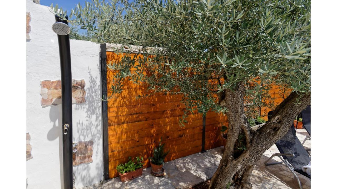 Holiday Home Vlady Buje Dış mekan fotoğraf