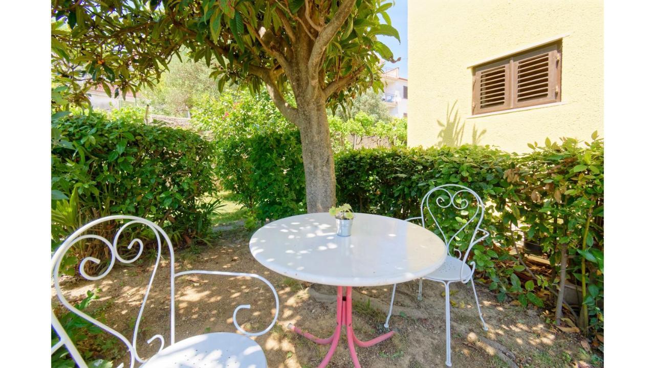 Holiday Home Vlady Buje Dış mekan fotoğraf