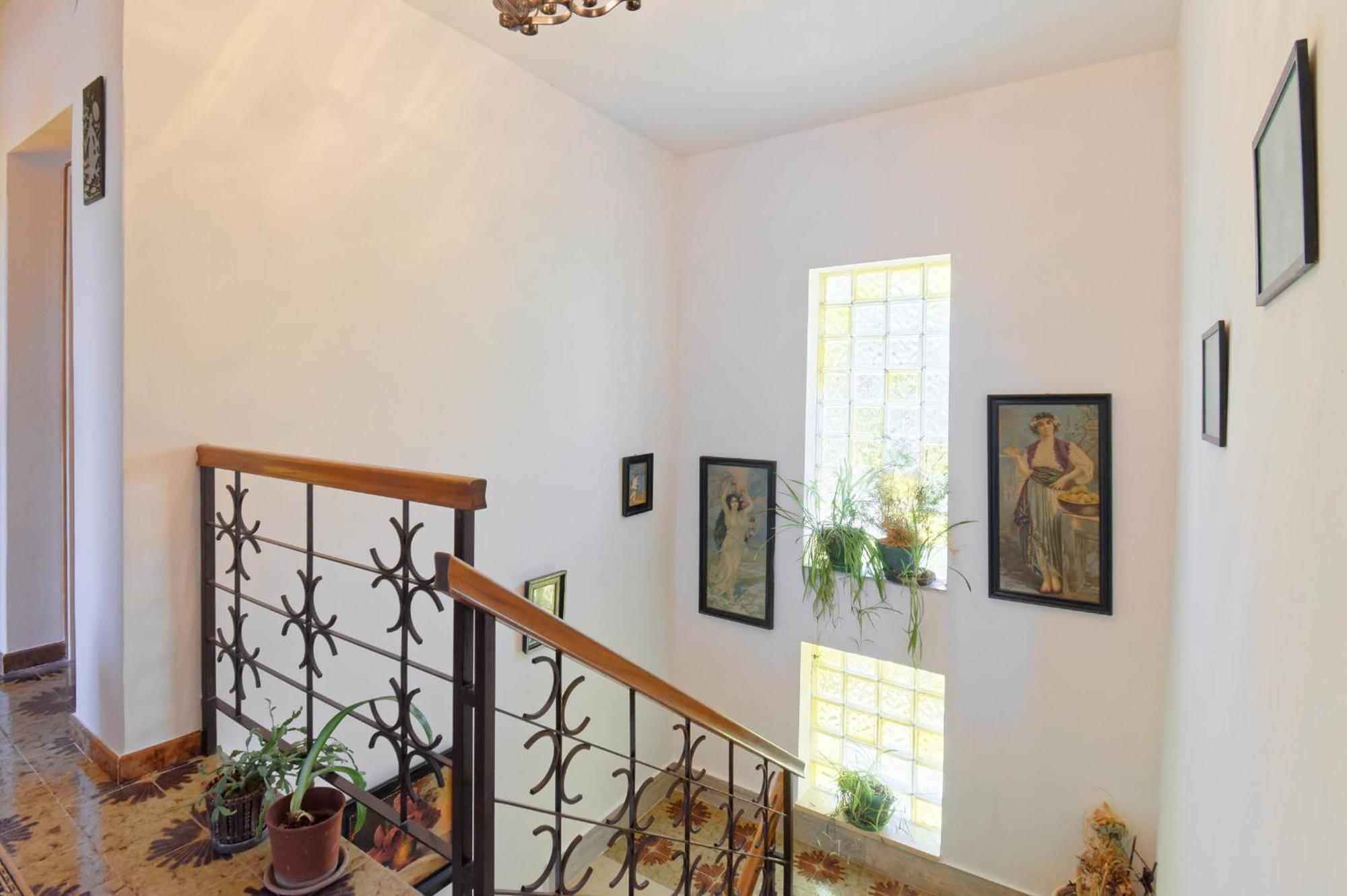 Holiday Home Vlady Buje Dış mekan fotoğraf